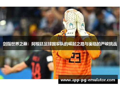 剑指世界之巅：阿根廷足球国家队的崛起之路与面临的严峻挑战