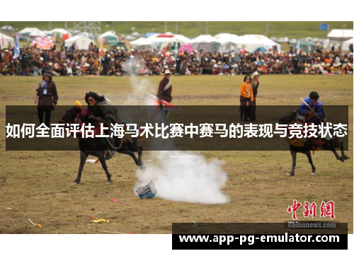 如何全面评估上海马术比赛中赛马的表现与竞技状态
