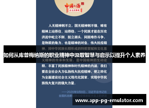 如何从库普梅纳斯的职业精神中汲取智慧与启示以提升个人素养