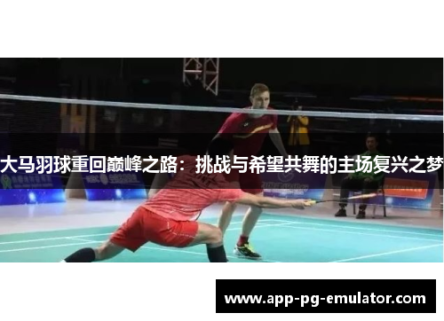 大马羽球重回巅峰之路：挑战与希望共舞的主场复兴之梦