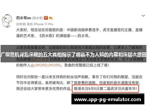广厦危机背后深藏的五大真相揭示了哪些不为人知的内幕和深层次原因