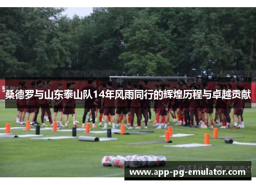 桑德罗与山东泰山队14年风雨同行的辉煌历程与卓越贡献