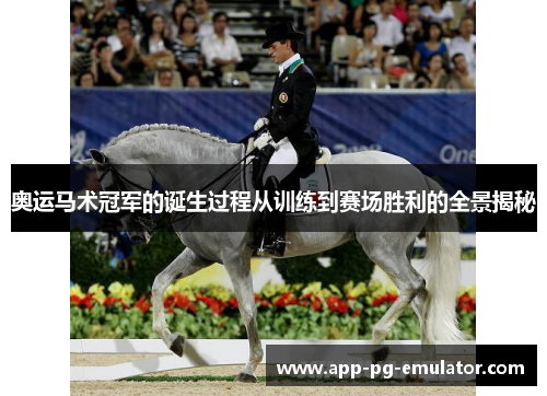 奥运马术冠军的诞生过程从训练到赛场胜利的全景揭秘