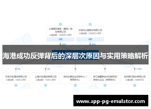海港成功反弹背后的深层次原因与实用策略解析