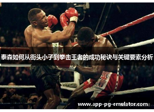 泰森如何从街头小子到拳击王者的成功秘诀与关键要素分析