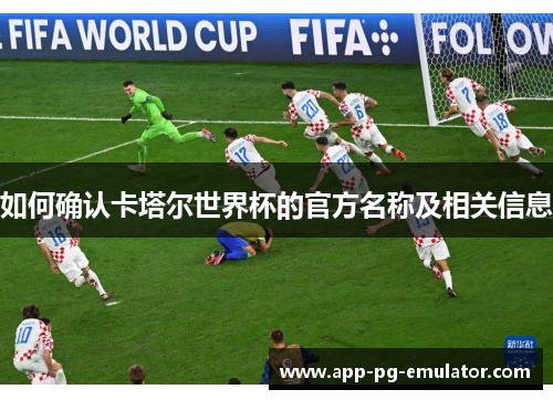 如何确认卡塔尔世界杯的官方名称及相关信息