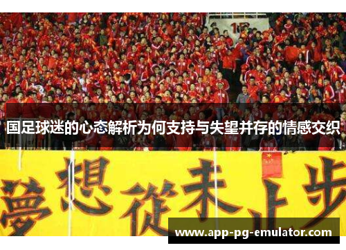 国足球迷的心态解析为何支持与失望并存的情感交织