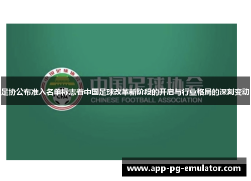 足协公布准入名单标志着中国足球改革新阶段的开启与行业格局的深刻变动