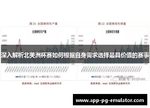深入解析北美洲杯赛如何根据自身需求选择最具价值的赛事