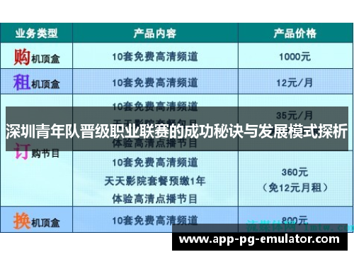 深圳青年队晋级职业联赛的成功秘诀与发展模式探析